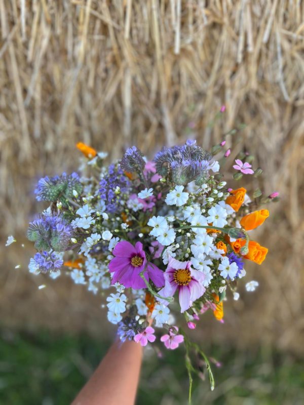 pick your own flowers